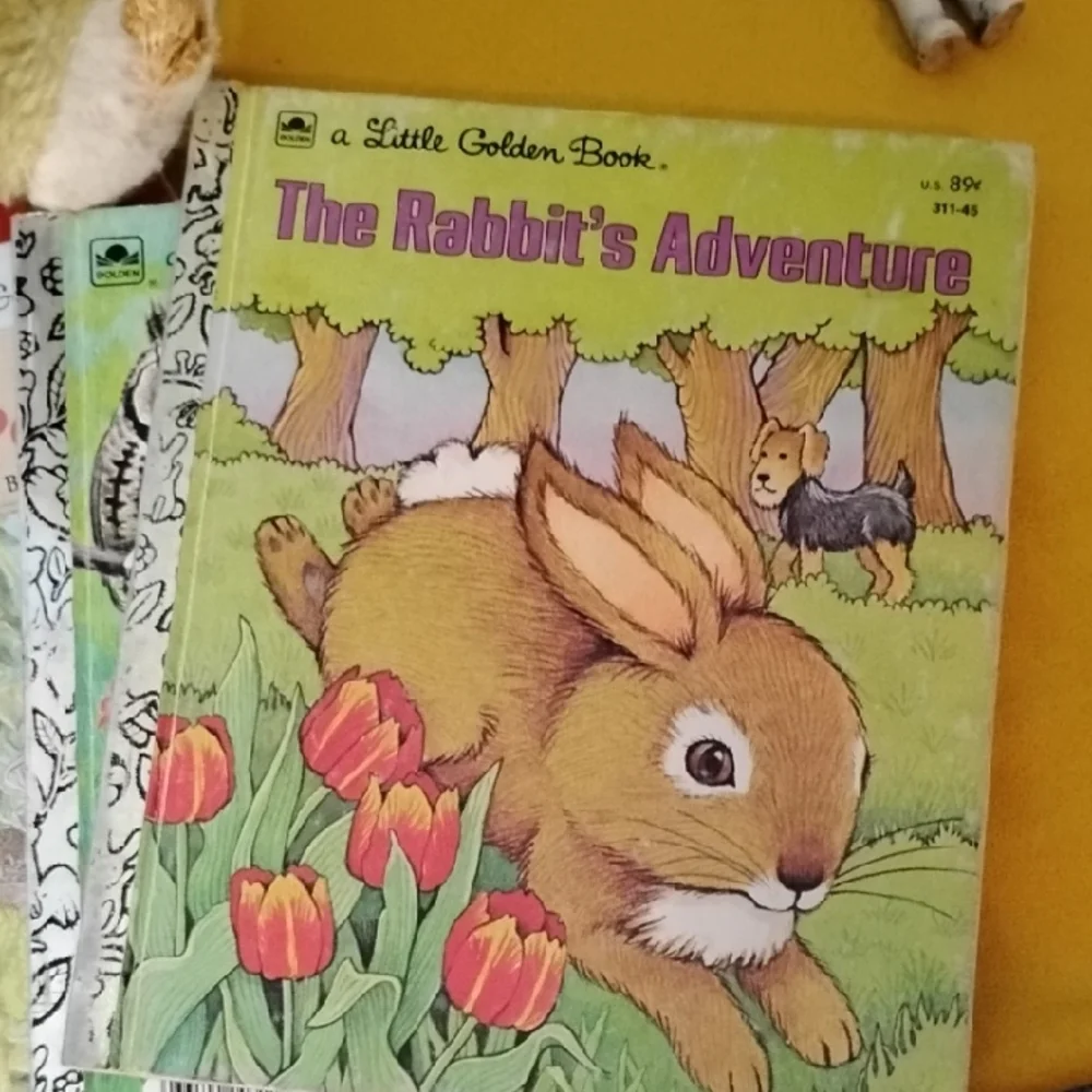 Storybook Set - Picture 2 of 8